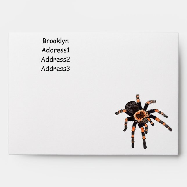 Tarantula cartoon illustration envelope (Front)