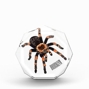 Tarantula cartoon illustration photo block