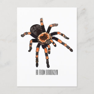 Tarantula cartoon illustration postcard
