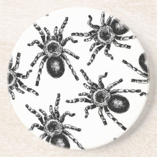 Tarantula Coaster