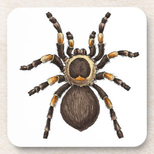 Tarantula Coaster