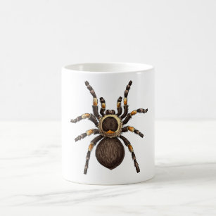 Tarantula Coffee Mug