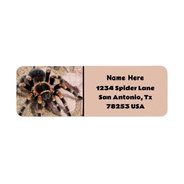 Tarantula, genou rouge mexicain Adresse de retour (Devant)