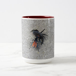 Tarantula Hawk Feeding On A Tarantula Two-Tone Coffee Mug