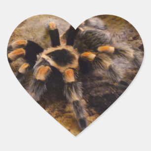 Tarantula Heart Sticker