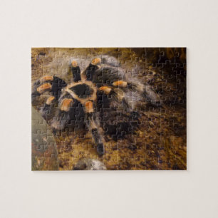 Tarantula Jigsaw Puzzle