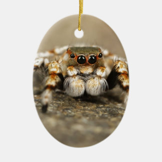 Tarantula Jumping Bird Spider awesome accessories Ceramic Ornament