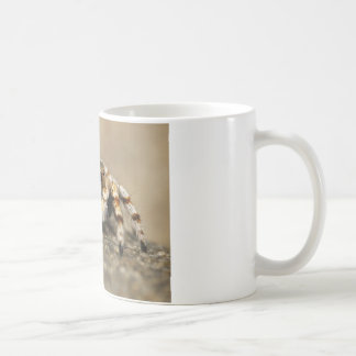 Tarantula Jumping Bird Spider awesome accessories Coffee Mug
