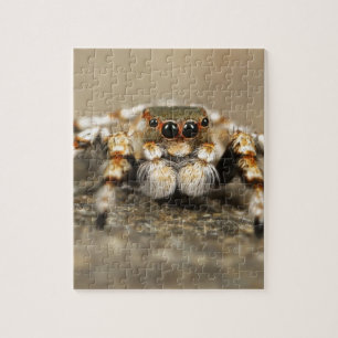 Tarantula Jumping Bird Spider awesome accessories Jigsaw Puzzle
