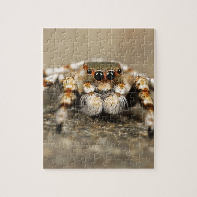 Tarantula Jumping Bird Spider awesome accessories Jigsaw Puzzle (Vertical)