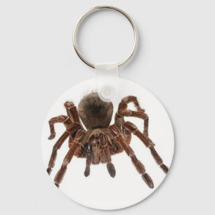 TARANTULA KEYCHAIN