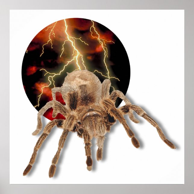 Tarantula Lightning Poster (Front)