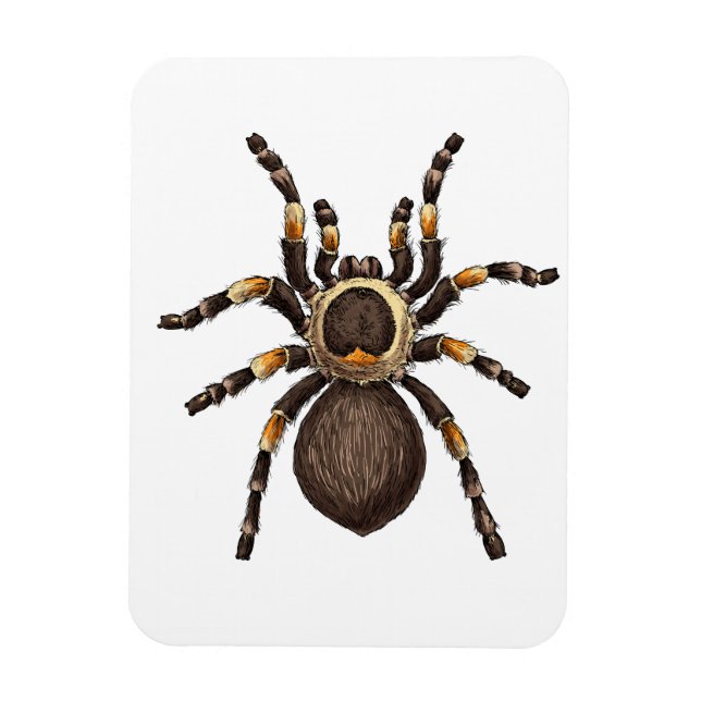 Tarantula Magnet (Vertical)