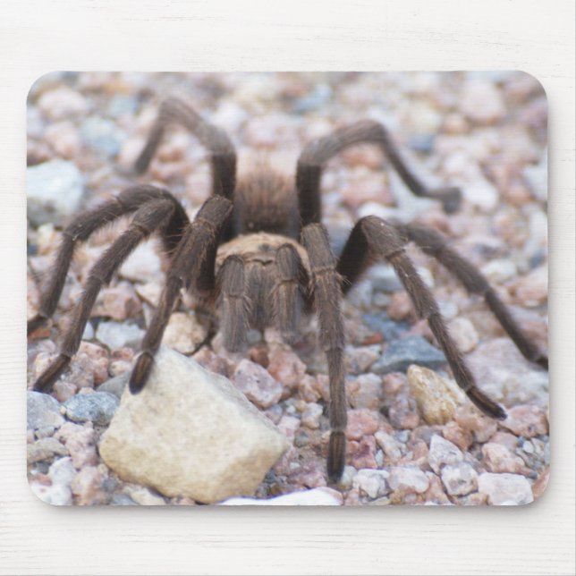 Tarantula Mouse Pad (Front)