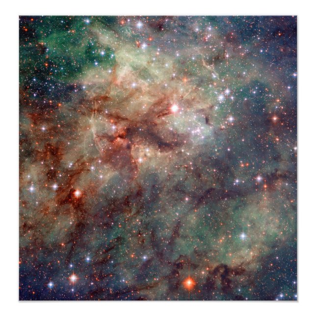 Tarantula Nebula Hubble Space Photo Print (Front)