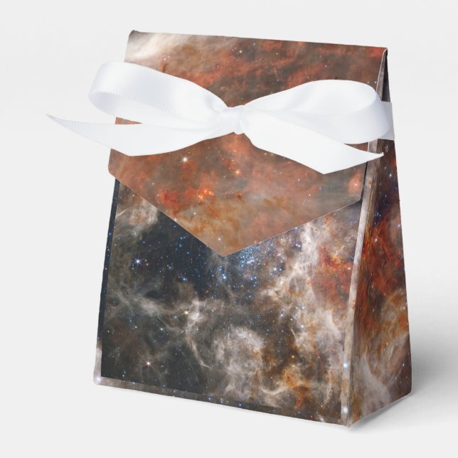 Tarantula Nebula Image from JWST Favor Box (Front Side)