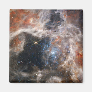 Tarantula Nebula Image from JWST Magnet