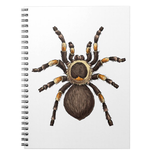 Tarantula Notebook (Front)