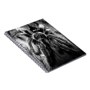 Tarantula notebook