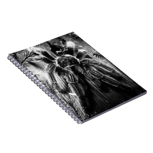 Tarantula notebook (Right Side)