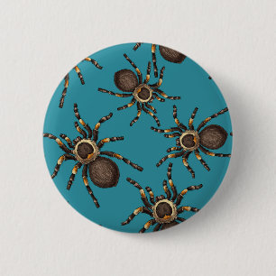 Tarantula on blue 2 inch round button