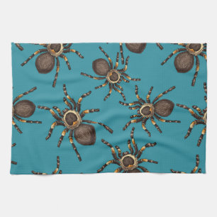 Tarantula on blue kitchen towel
