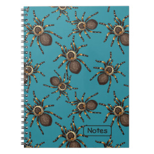 Tarantula on blue notebook