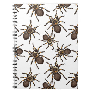 Tarantula on white notebook