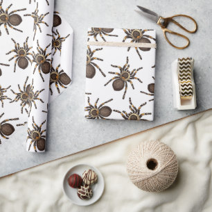 Tarantula on white wrapping paper