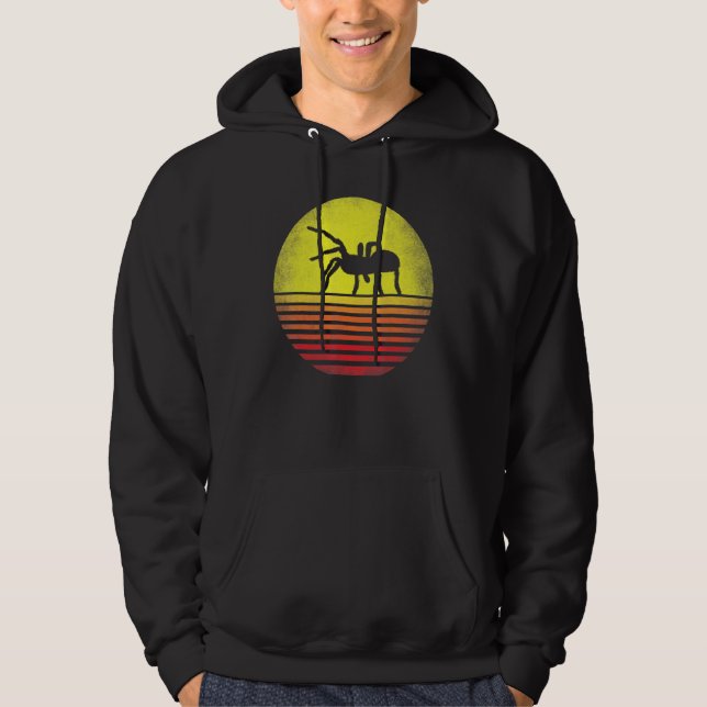 Tarantula Retro Sunset Tarantula Lover Hoodie (Front)