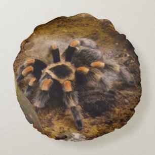 Tarantula Round Pillow
