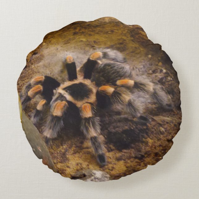 Tarantula Round Pillow (Back)