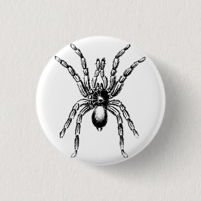 tarantula spider 1 inch round button (Front)