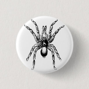 tarantula spider 1 inch round button