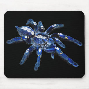 Tarantula spider, arachnid, big blue spider/black mouse pad