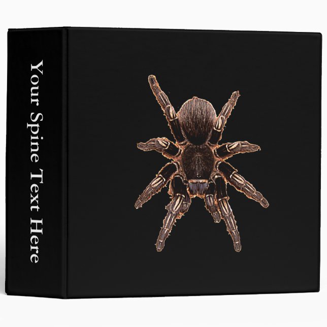 Tarantula Spider Binder (Front/Spine)