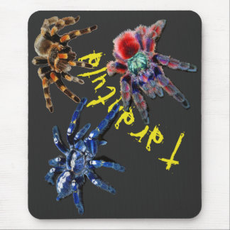 Tarantula spider, blue spider, red spider, spiders mouse pad