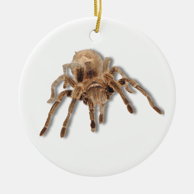 Tarantula spider ceramic ornament (Front)