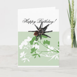 tarantula spider on dogwood blossom design cards