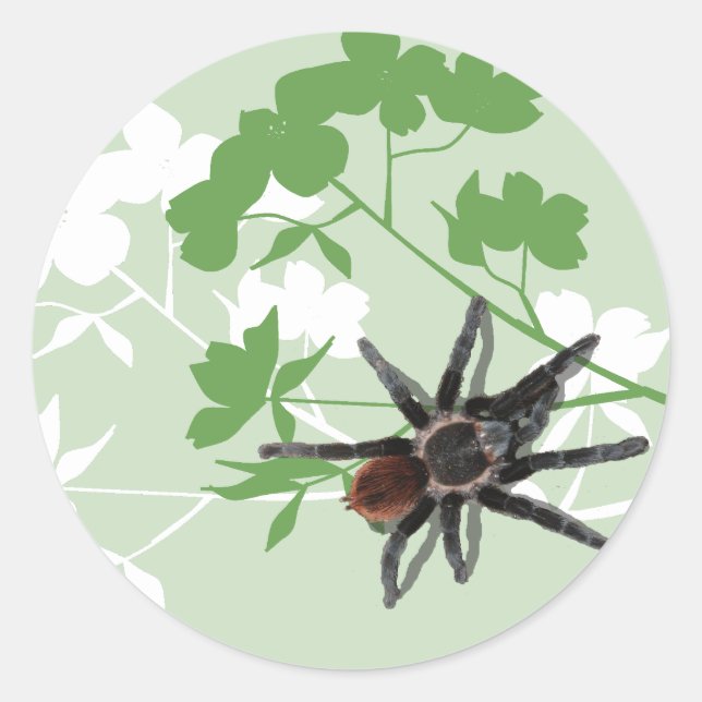 tarantula spider on dogwood blossom design sticker (Front)