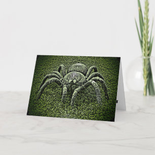 Tarantula spider themed greeting card