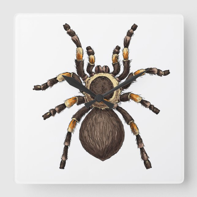 Tarantula Square Wall Clock (Front)