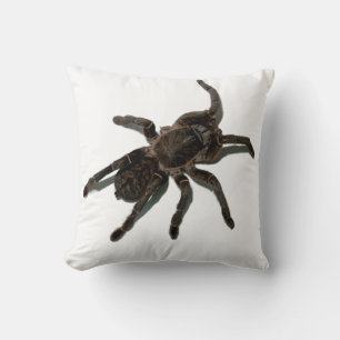 Tarantula Throw Pillow