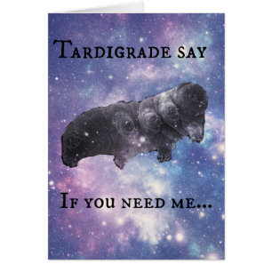 Tardigrade dites - en jugeant