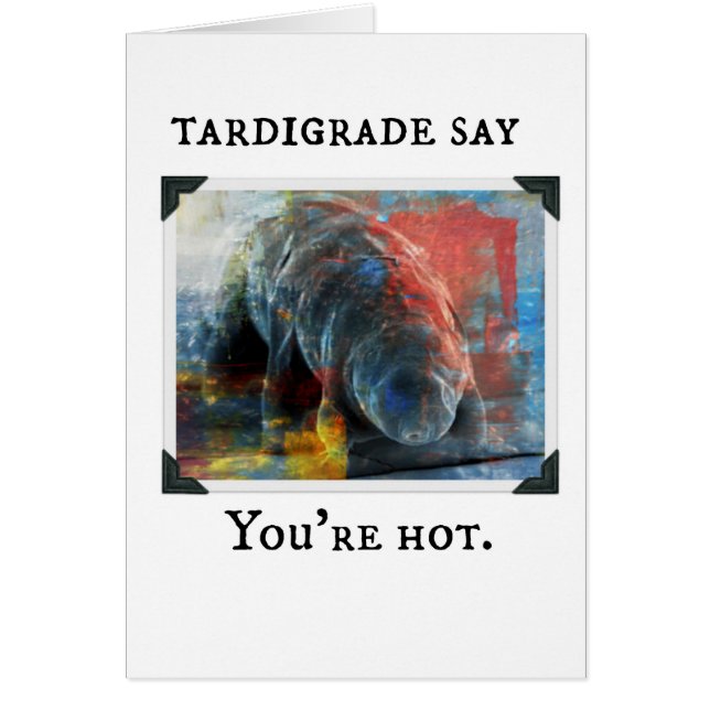 Tardigrade Say - vous avez chaud (Devant)