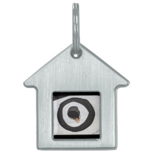 target tears up pet ID tag