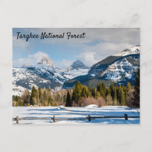 Targhee National Forest Teton view Postcard