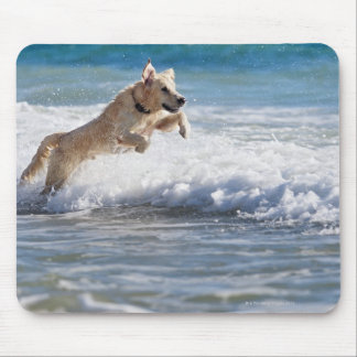tarifa, cadiz, andalusia, spain 2 mouse pad