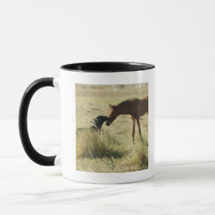 Tarifa, Cadiz, Andalusia, Spain 2 Mug