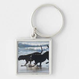 tarifa cadiz andalusia spain keychain